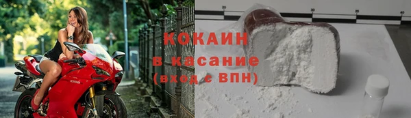 прущие грибы Армянск