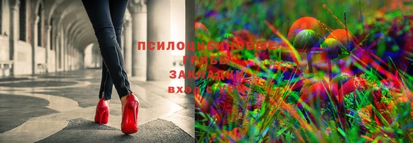 прущие грибы Армянск