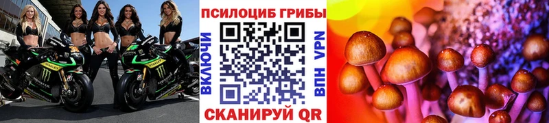 Галлюциногенные грибы прущие грибы сколько стоит Унеча